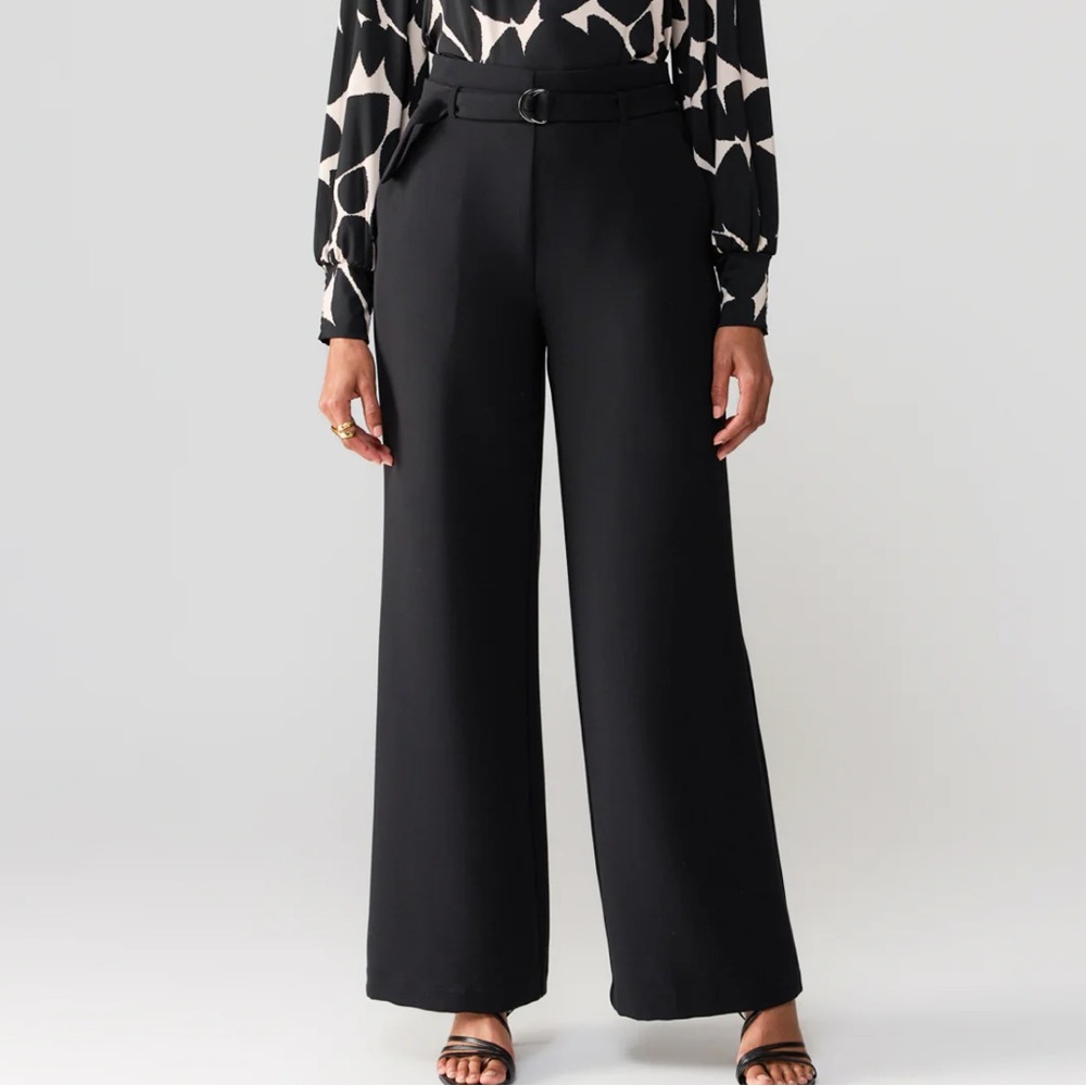 NWT Sanctuary Upright High Rise Trouser Pants